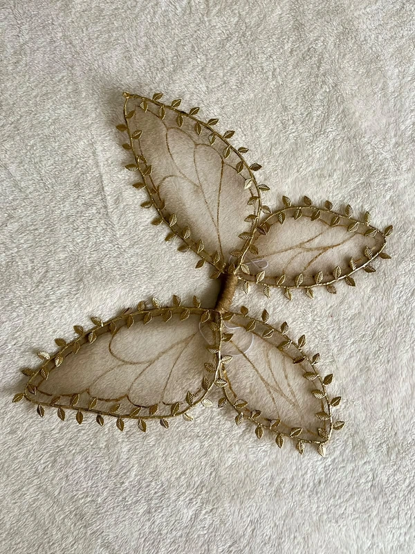Wings 3